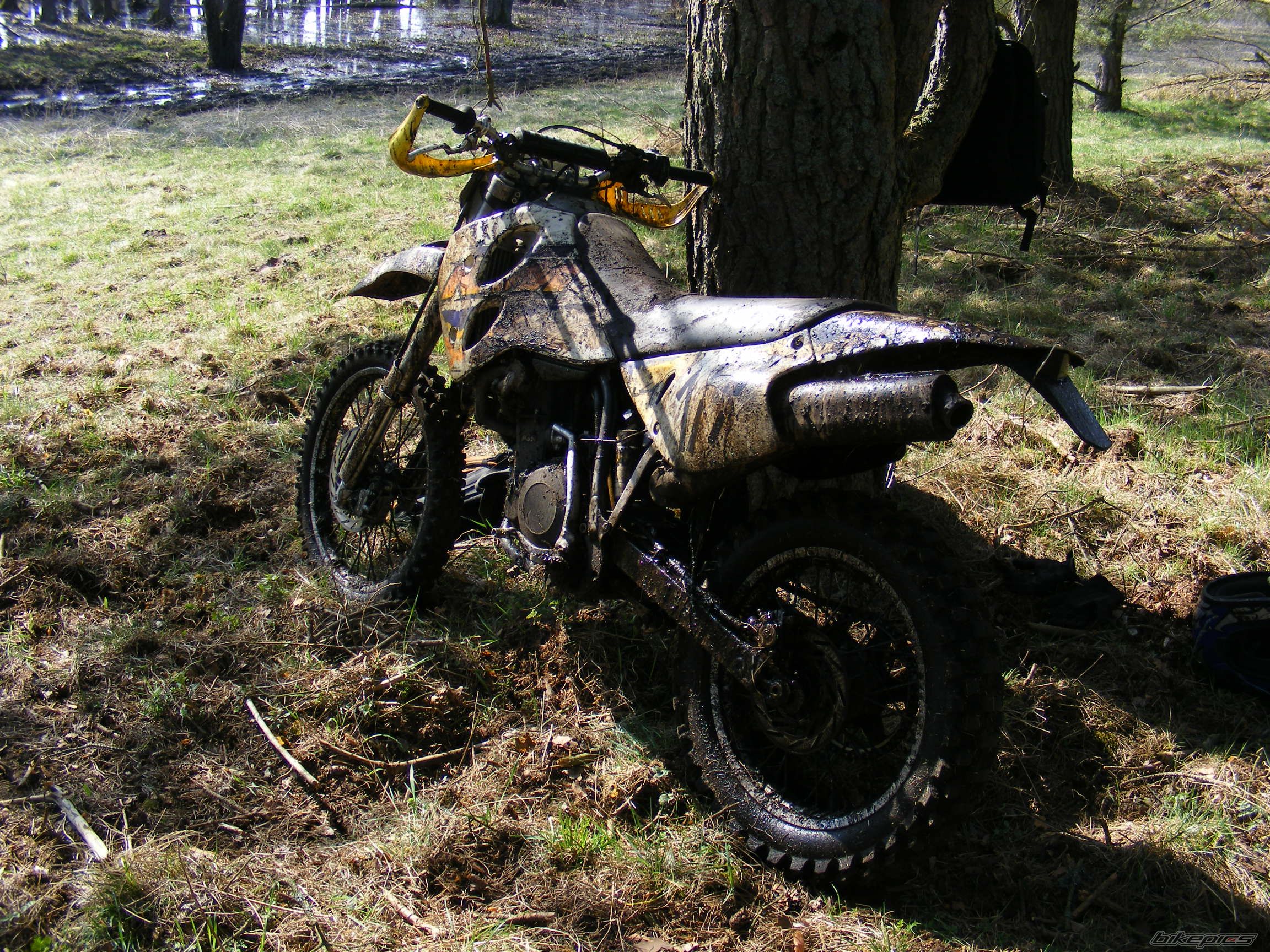 Photo 1635340