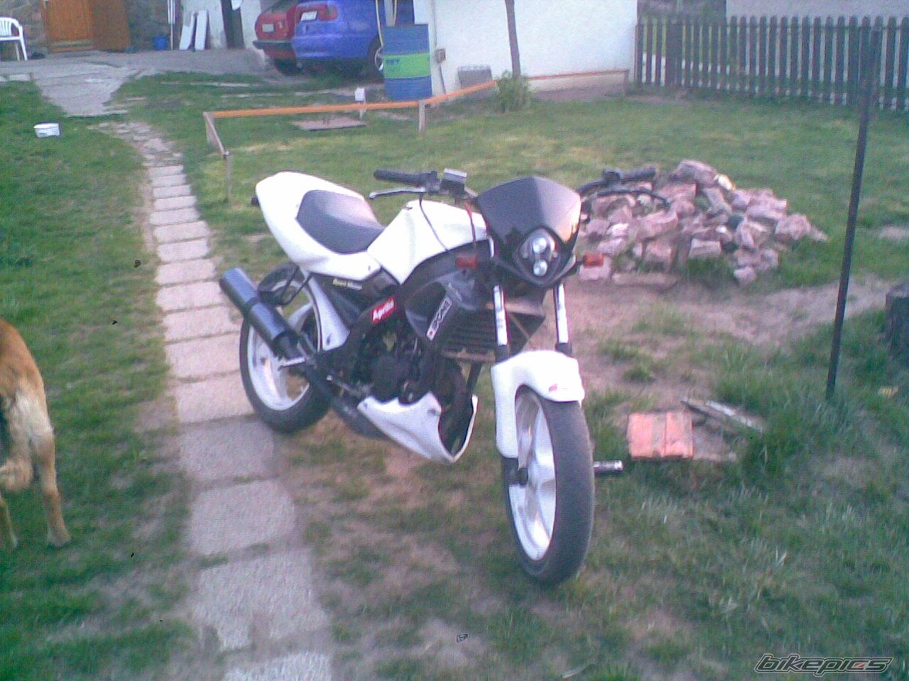 Photo 1635362
