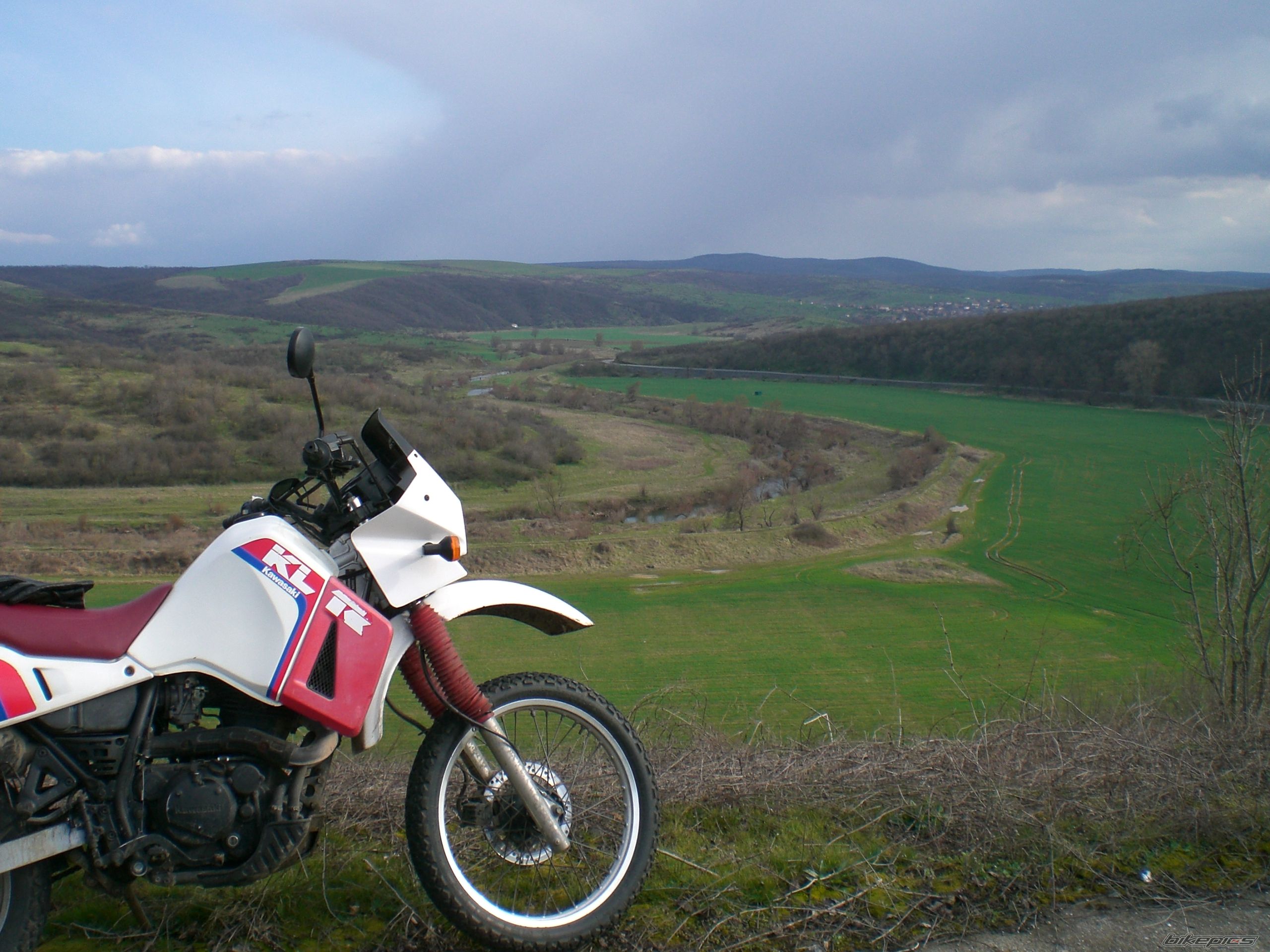 Photo 1635405