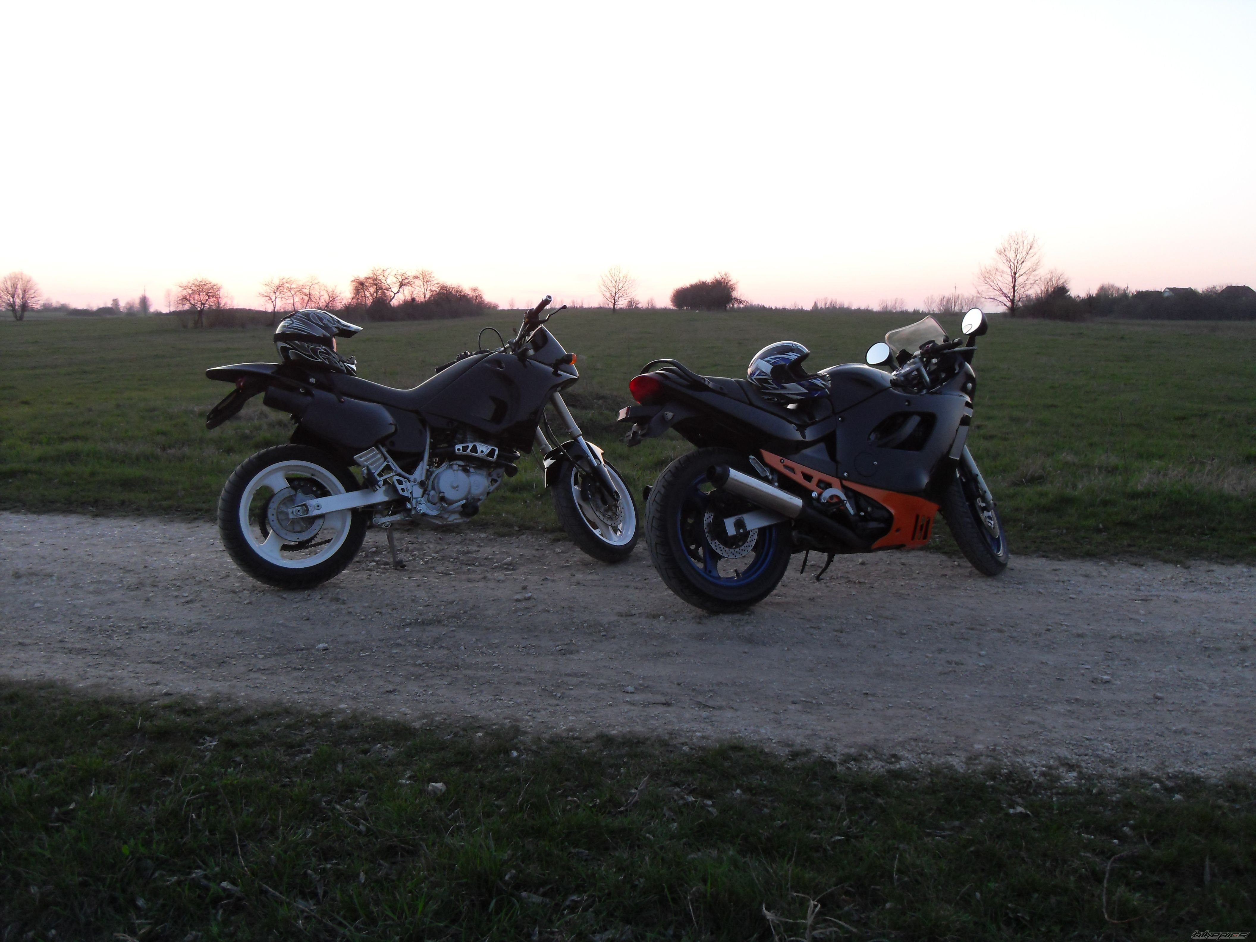 Photo 1635424