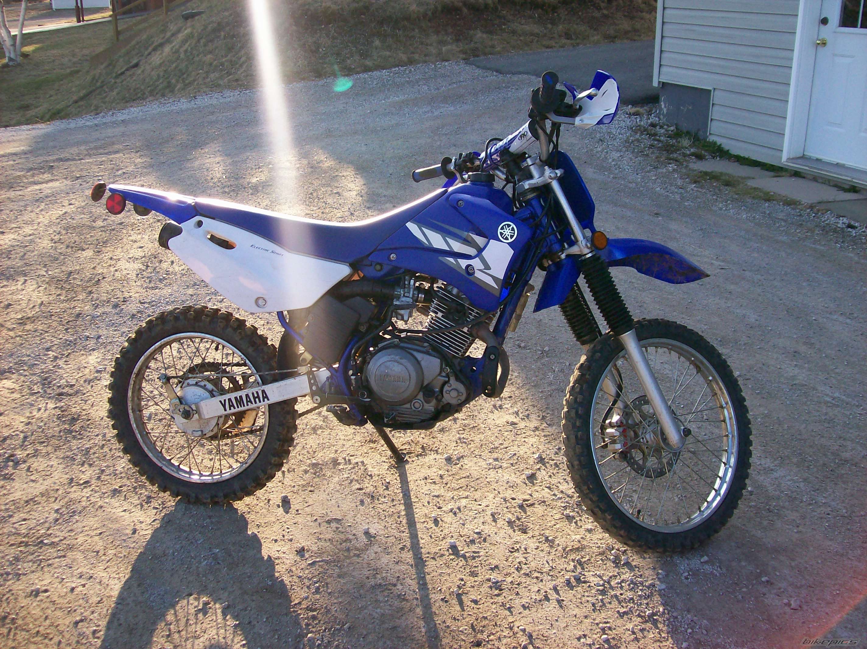 Photo 1635648