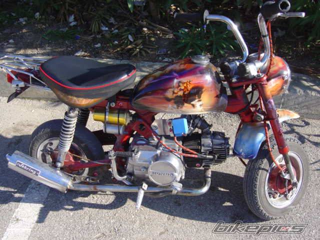 Photo 163567