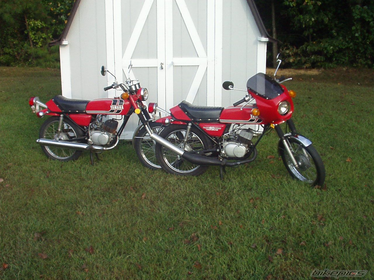 Photo 1635676