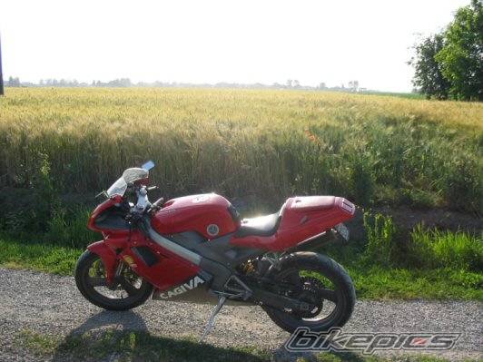 Photo 163571