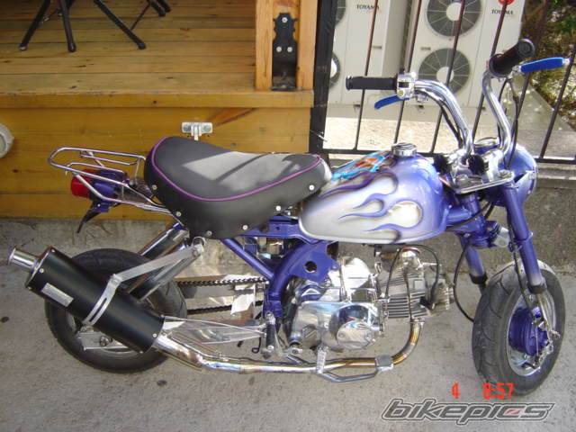 Photo 163572