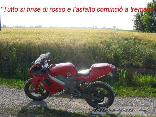 Bike Photo 163573