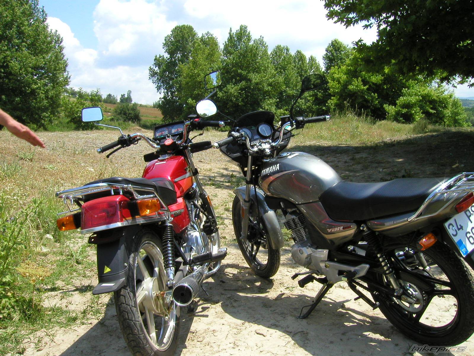 Photo 163578