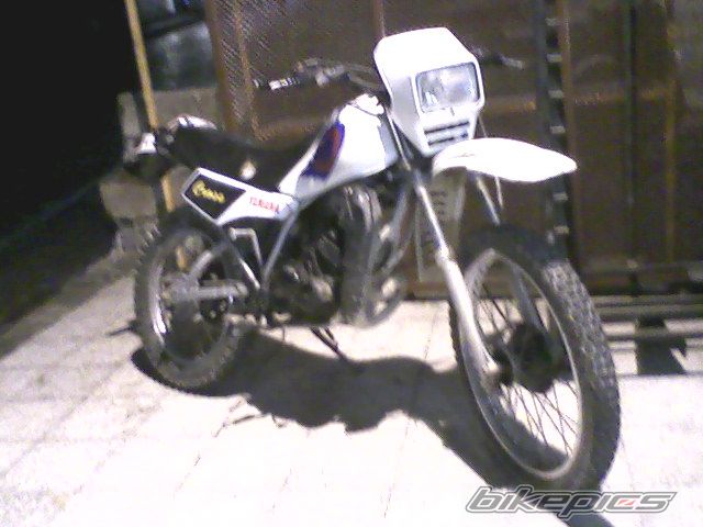 Photo 1635812