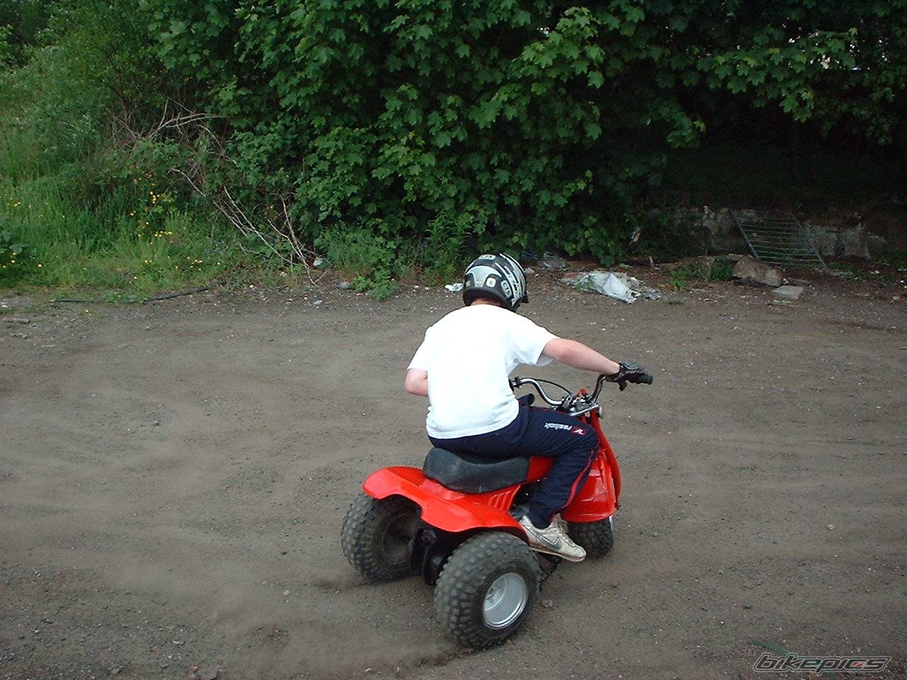 Photo 163589