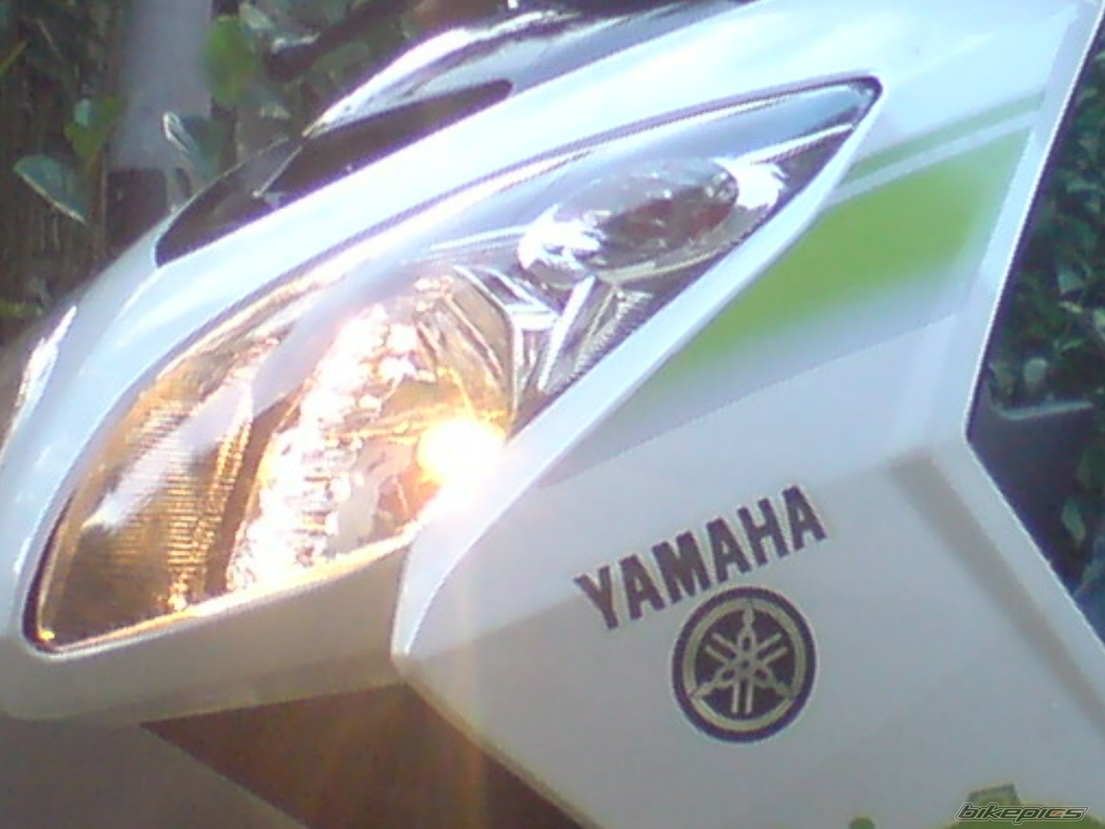 Photo 1635917