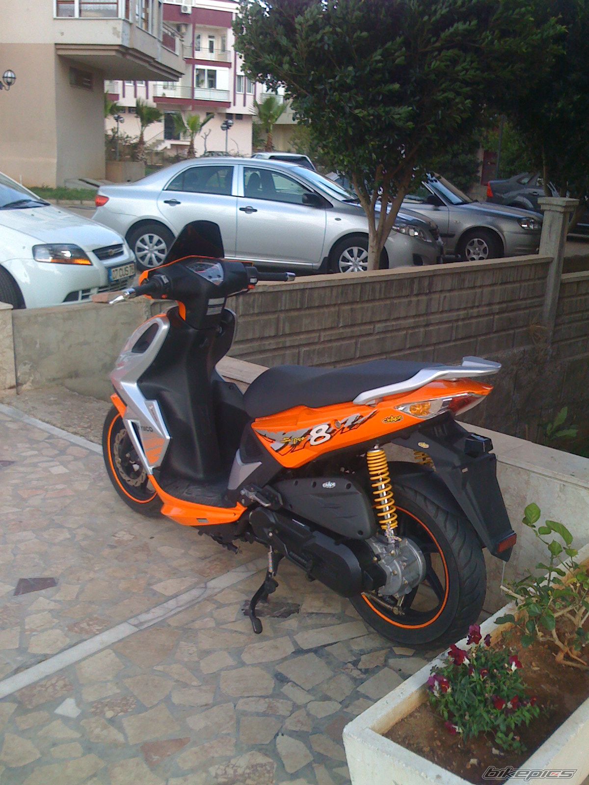 Photo 1636155