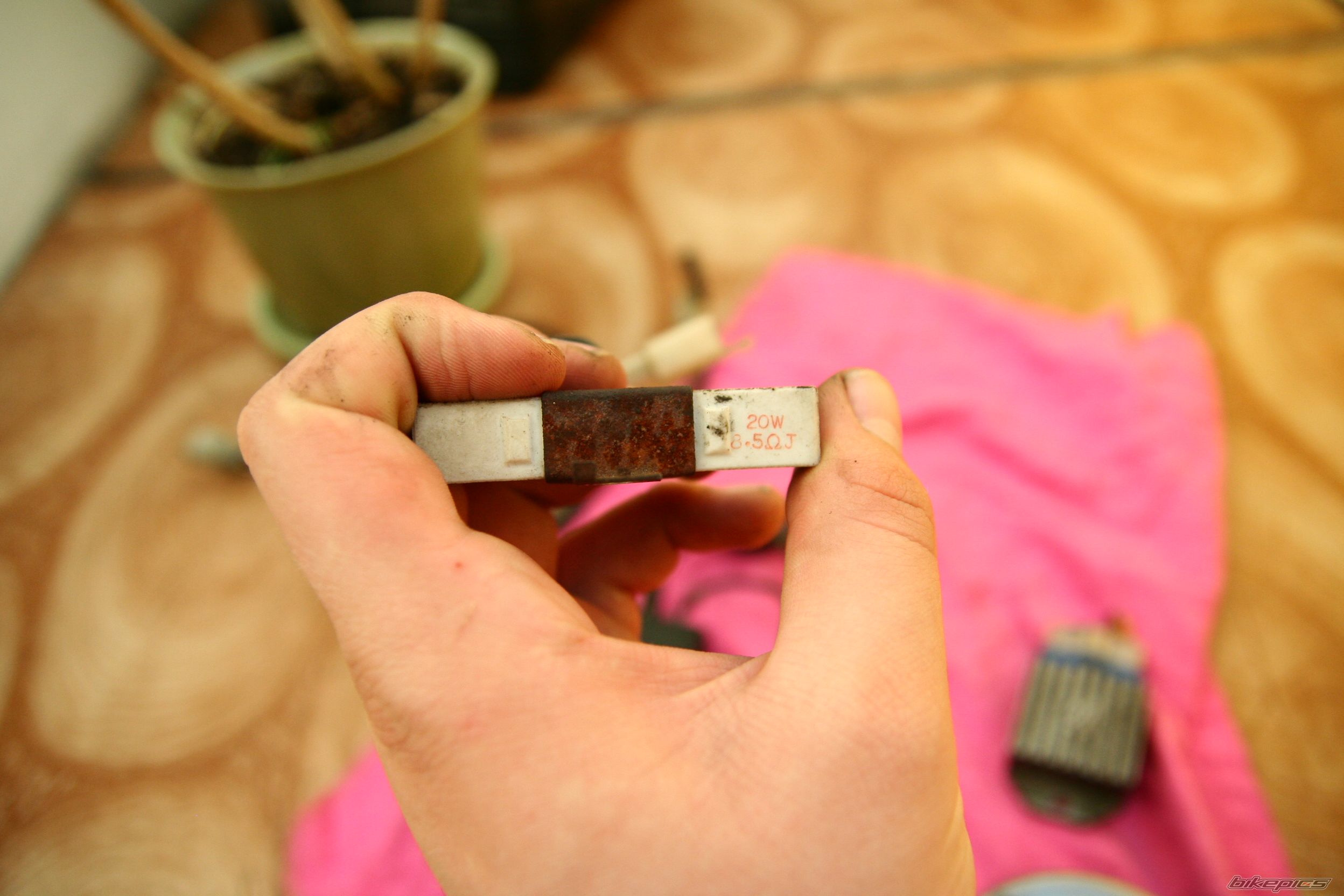 Photo 1636261
