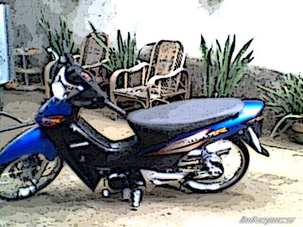 Photo 1636303