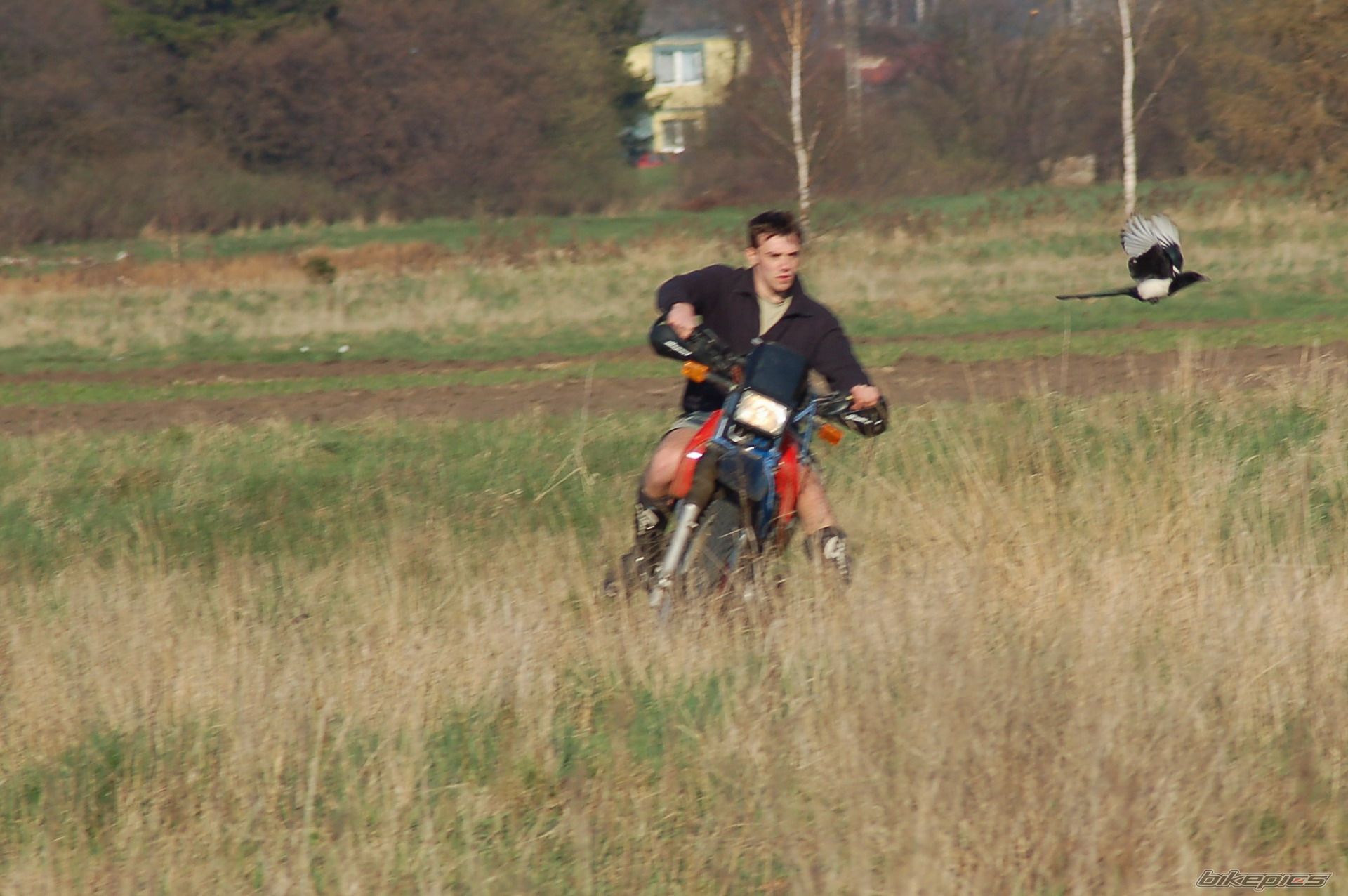 Photo 1636316