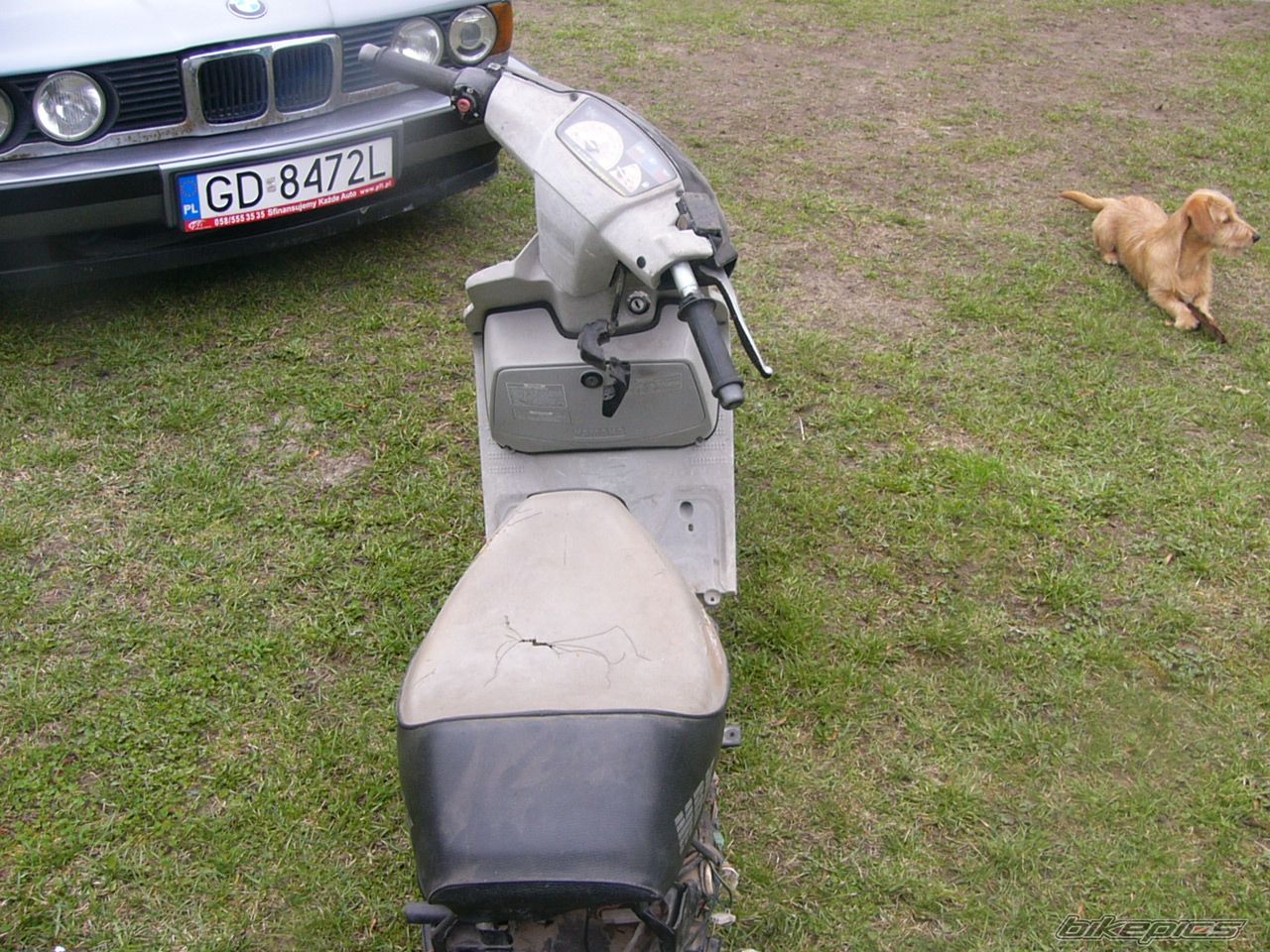 Photo 1636389