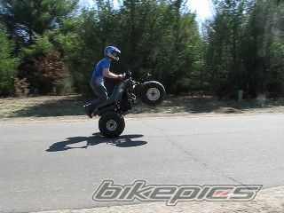 Photo 1636541