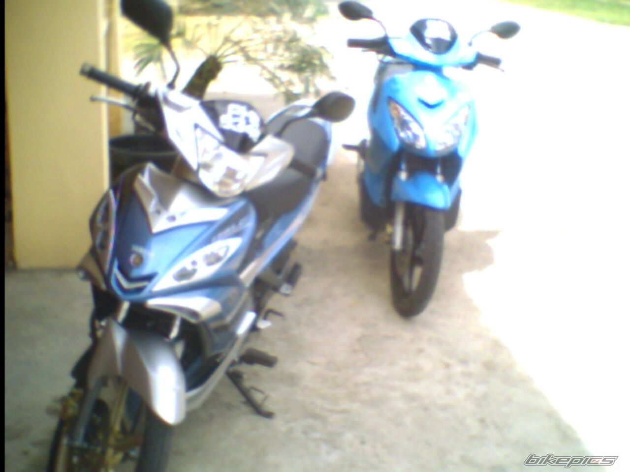 Photo 1636626