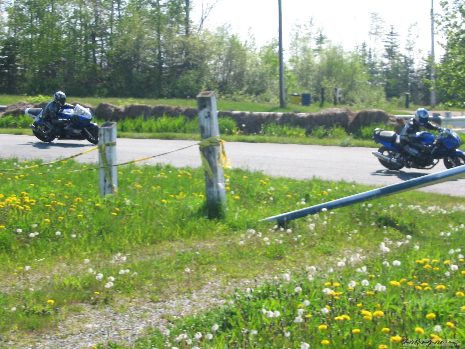Photo 1636749