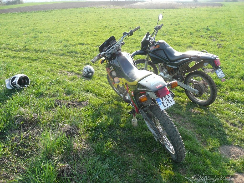 Photo 1636850