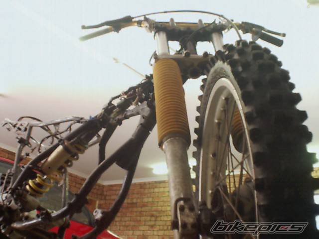 Photo 163687