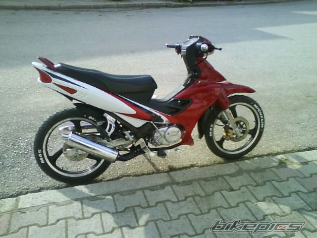 Photo 1637033