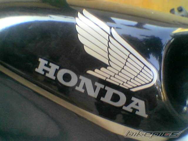 Photo 1637073