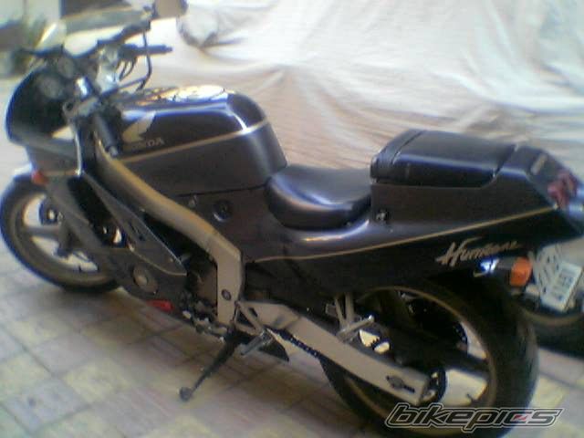 Photo 1637074