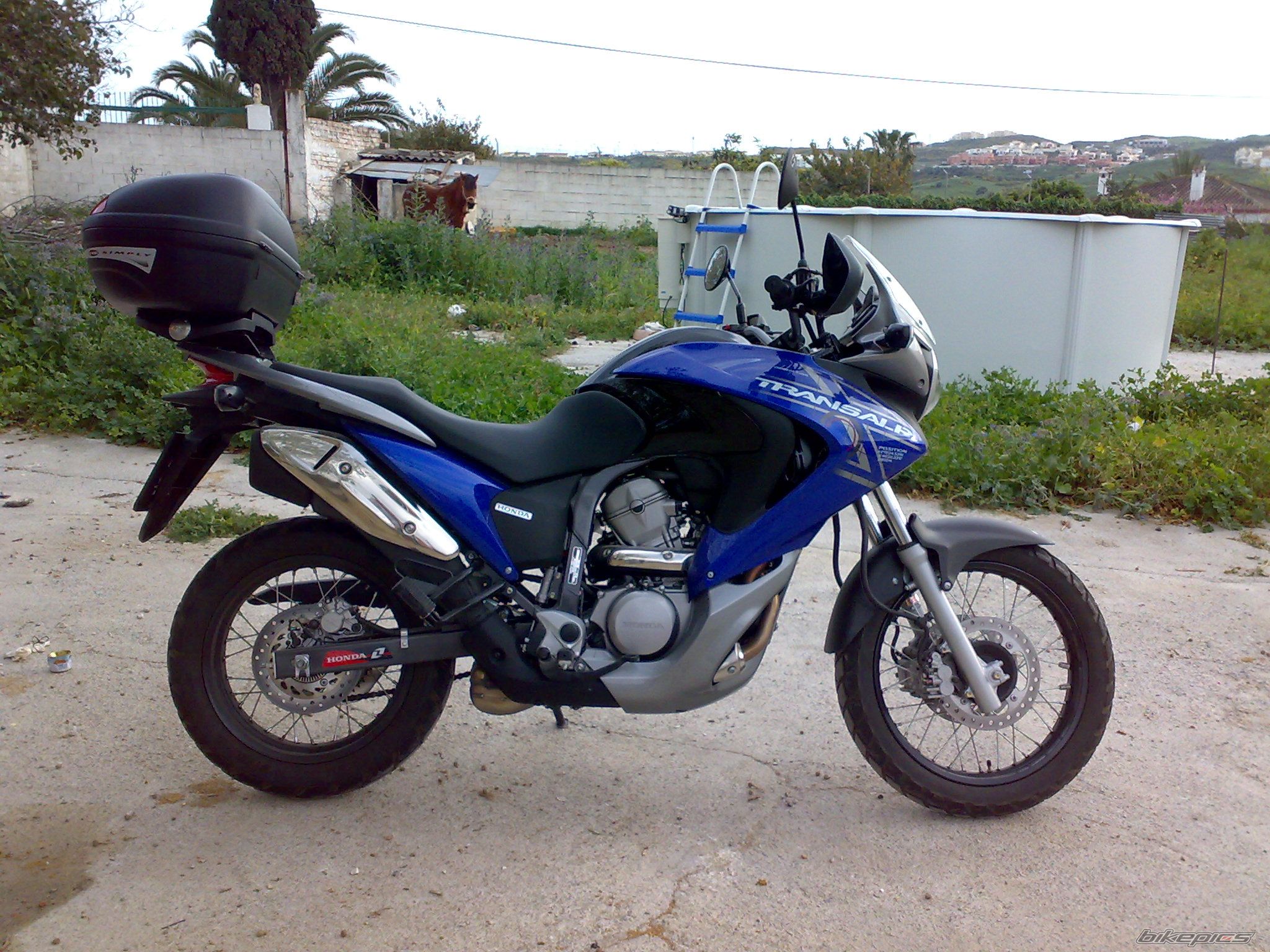 Photo 1637194