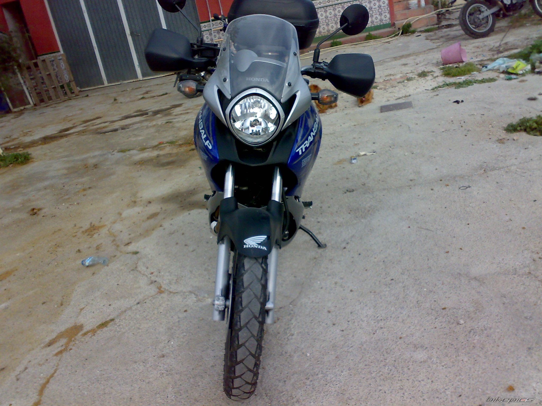 Photo 1637205