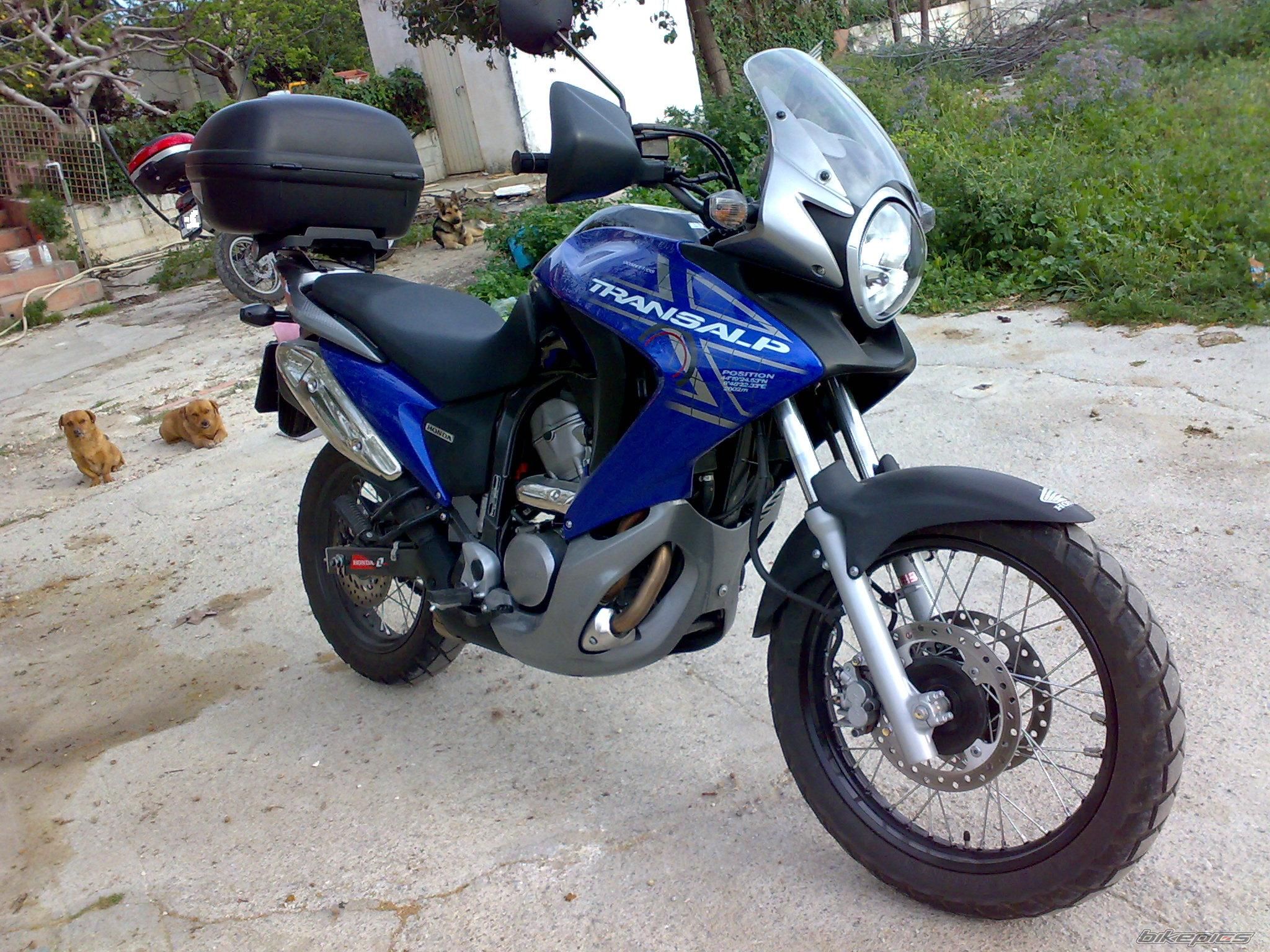 Photo 1637211