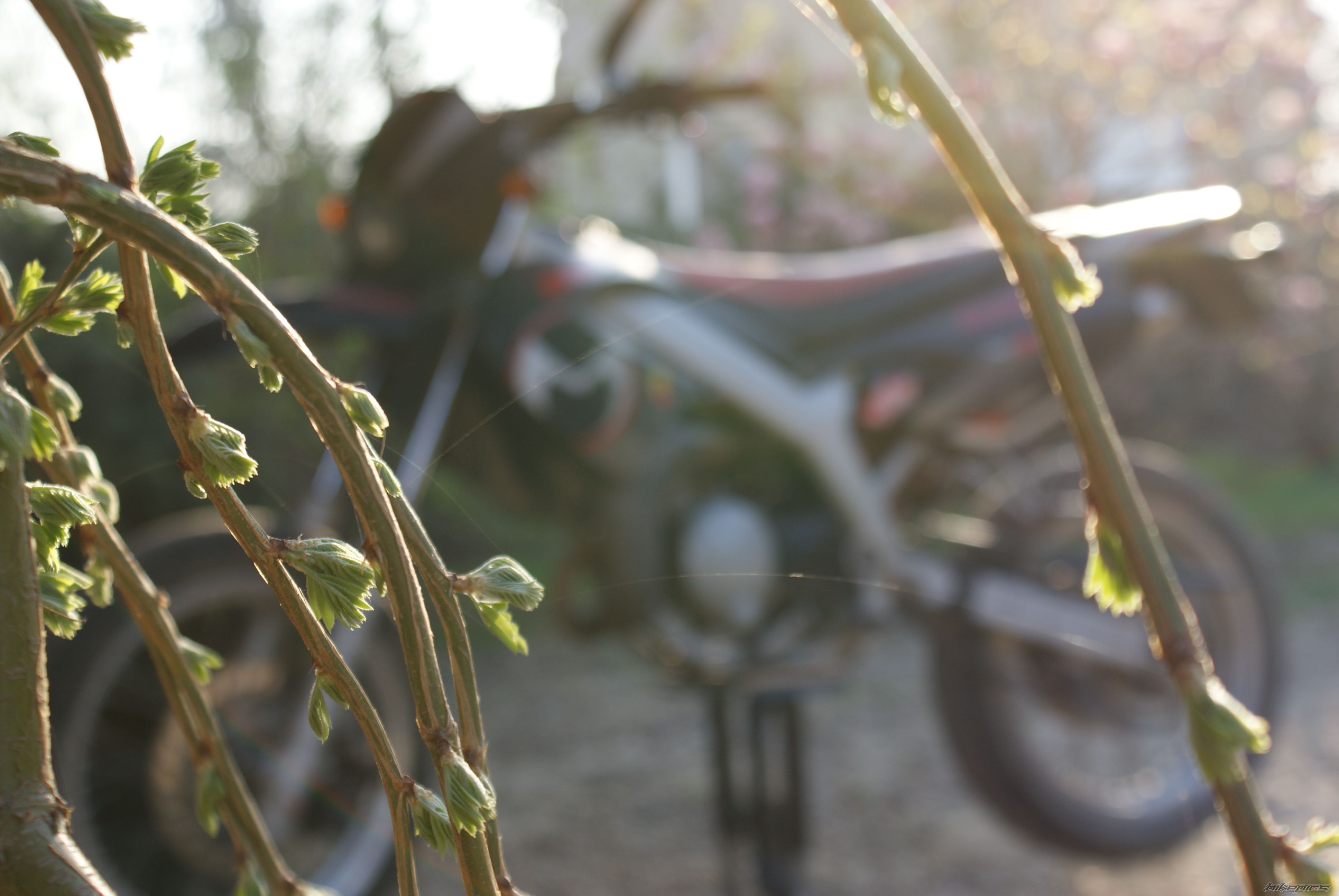 Bike Photo 1637220