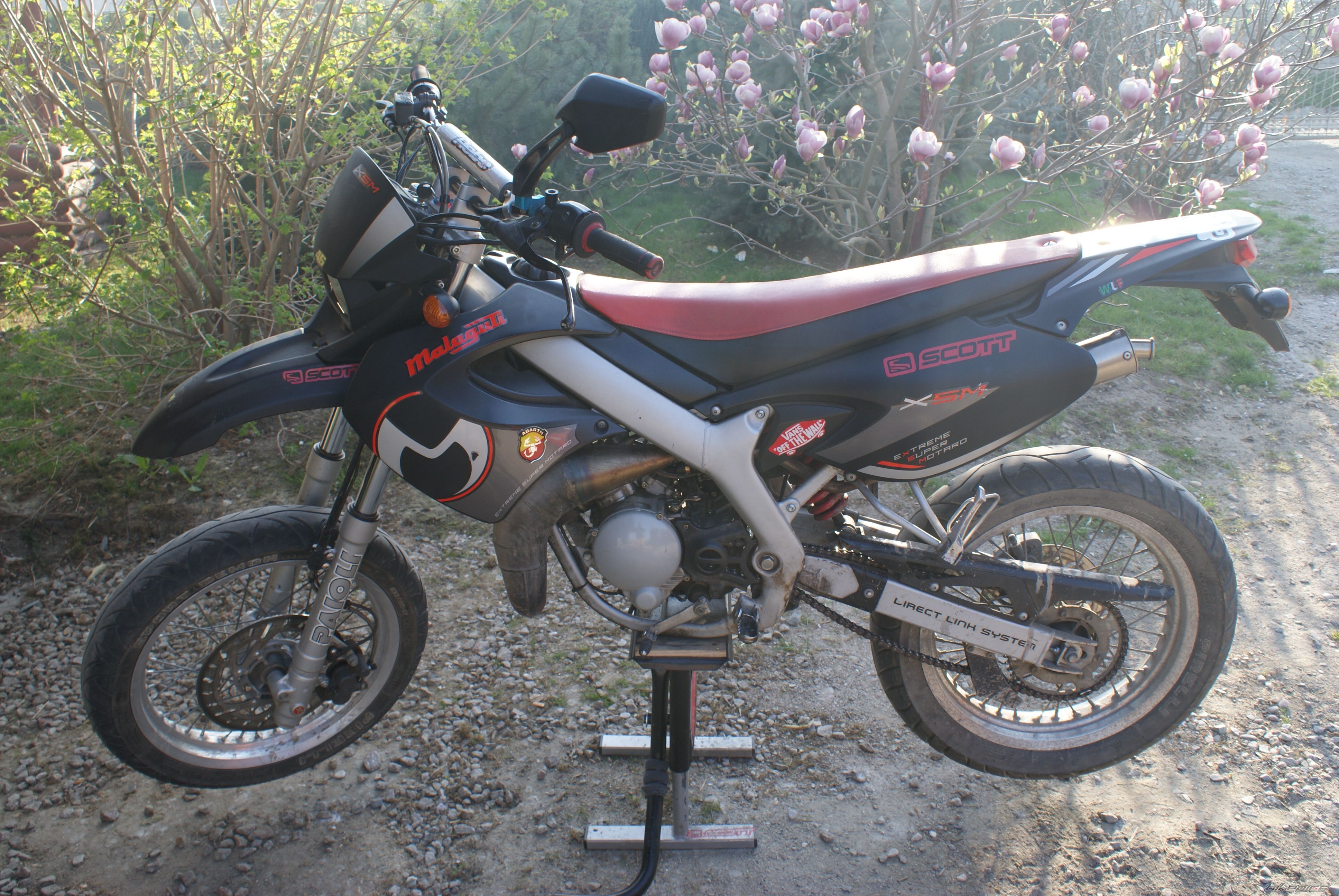 Photo 1637243