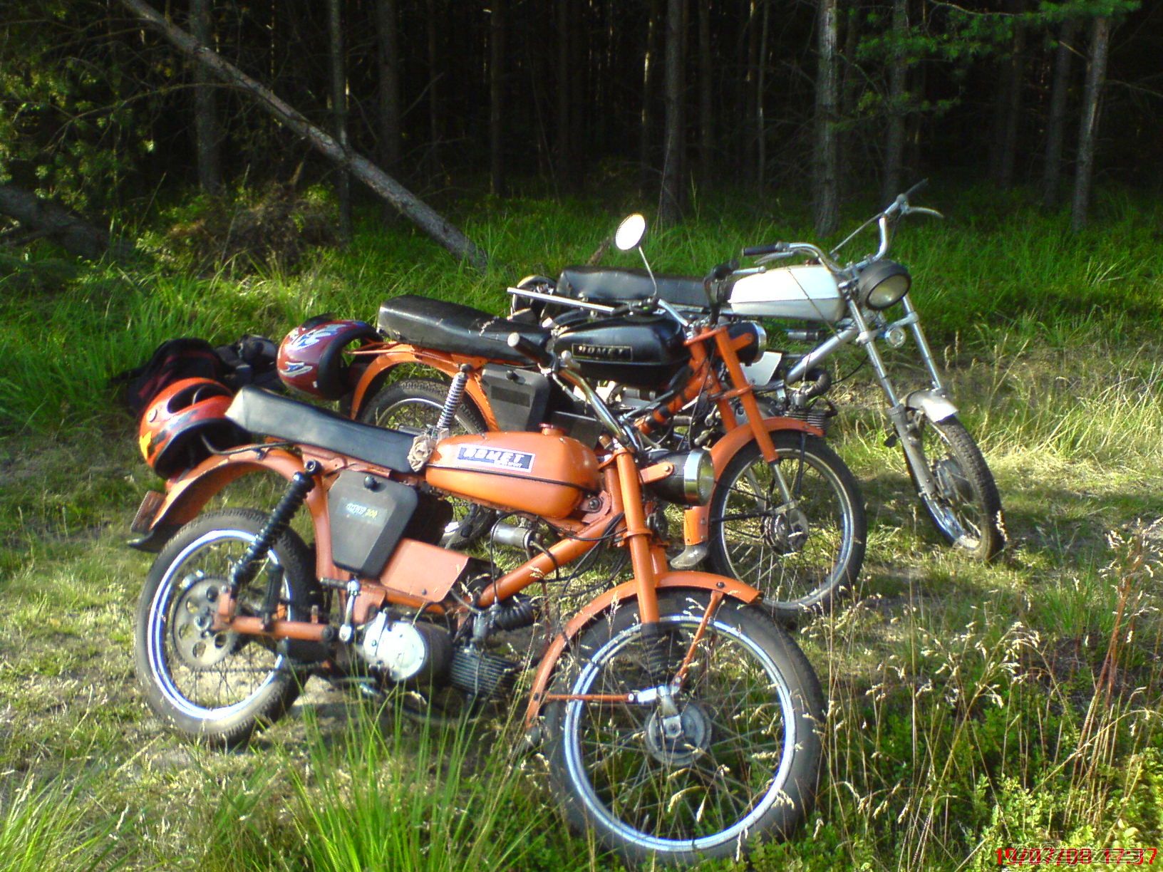 Photo 1637284