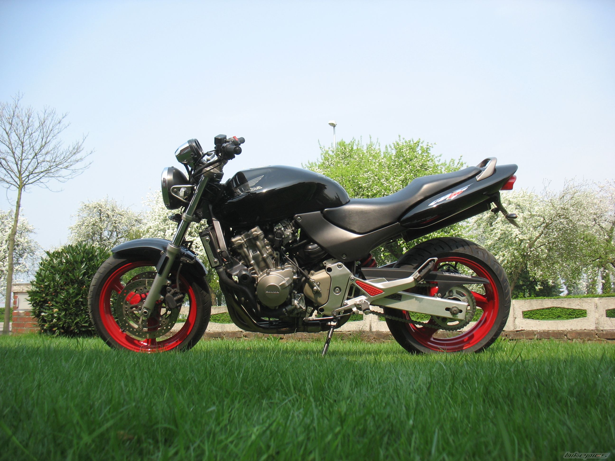 Photo 1637353