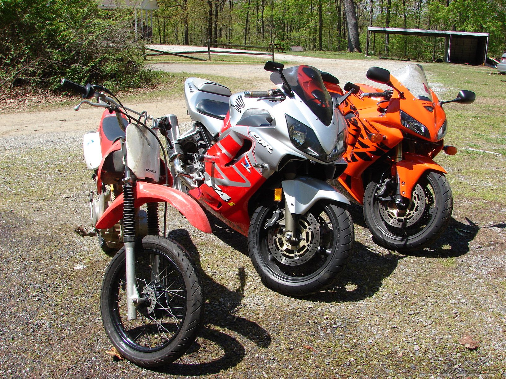Photo 1637372