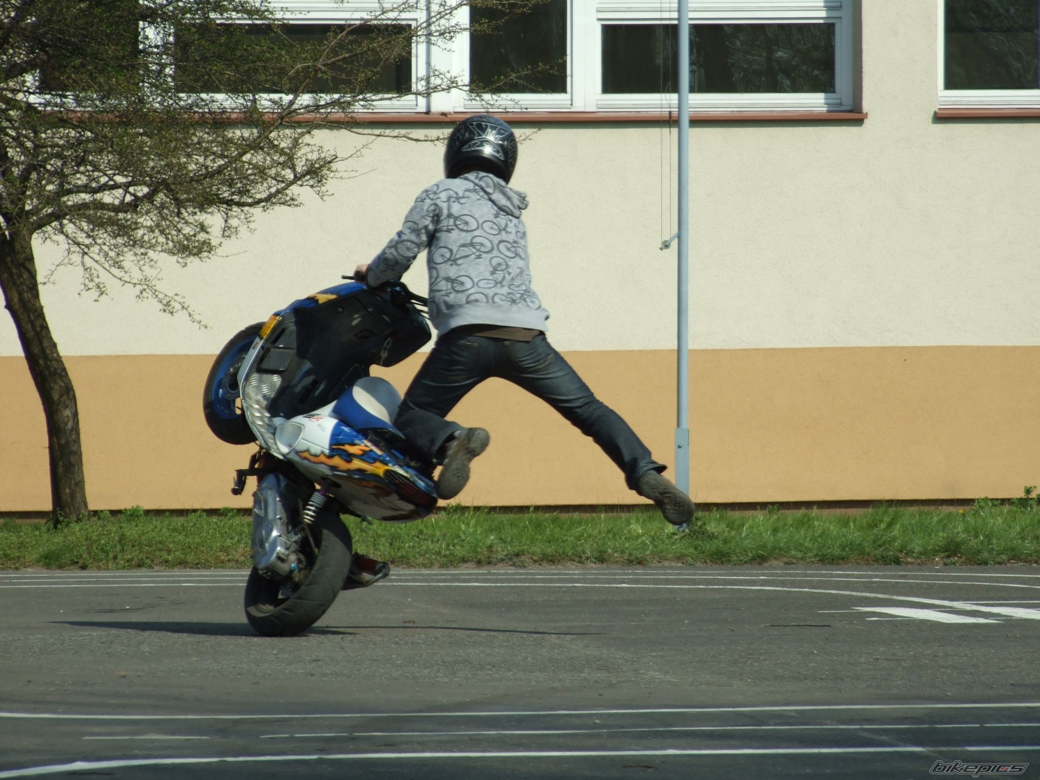 Photo 1637381