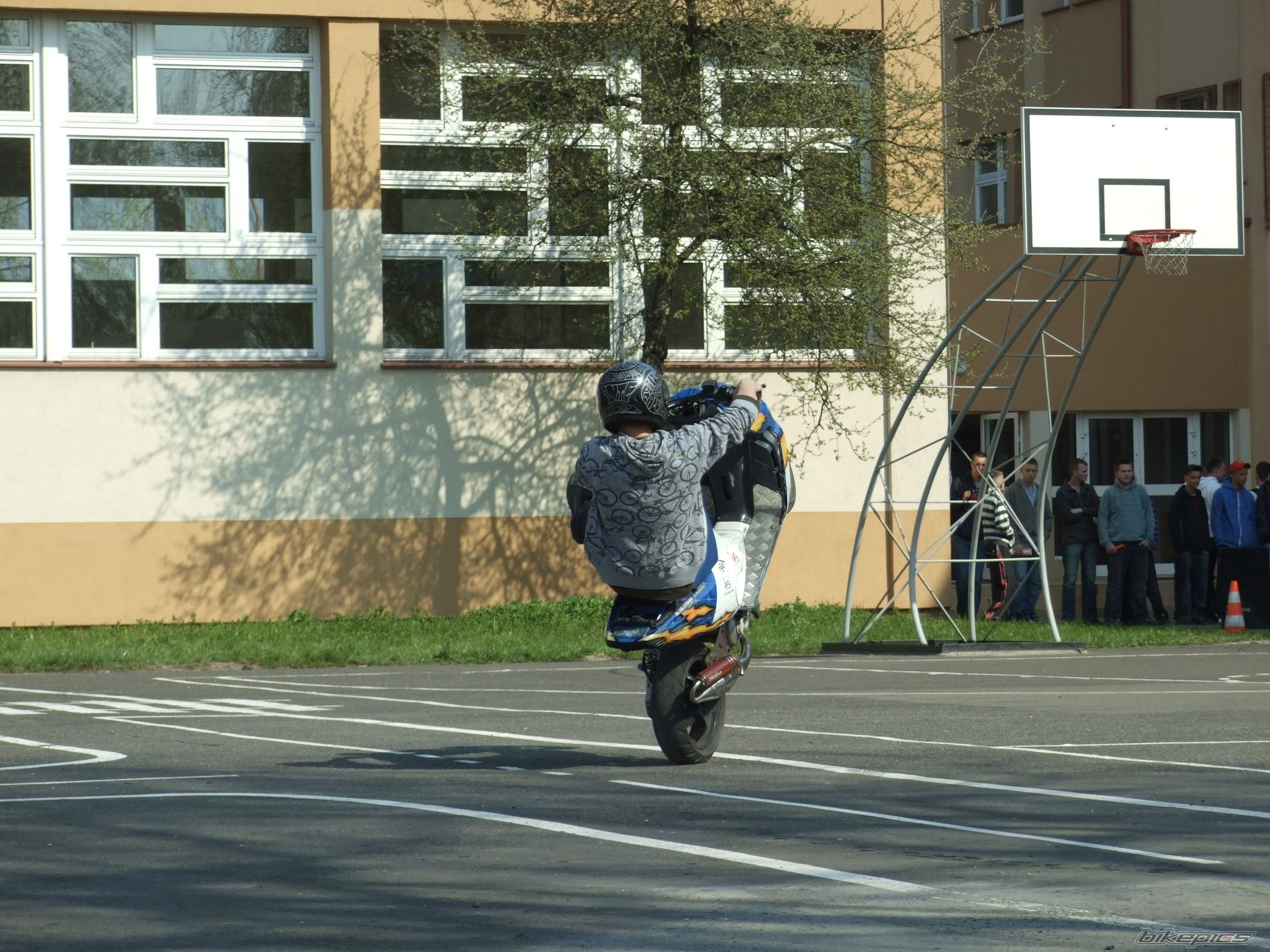Photo 1637397