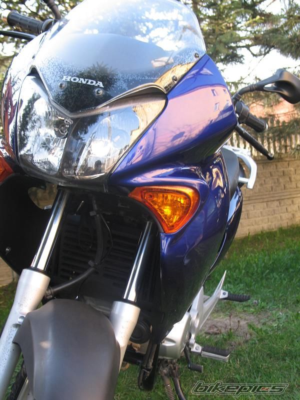 Photo 1637432