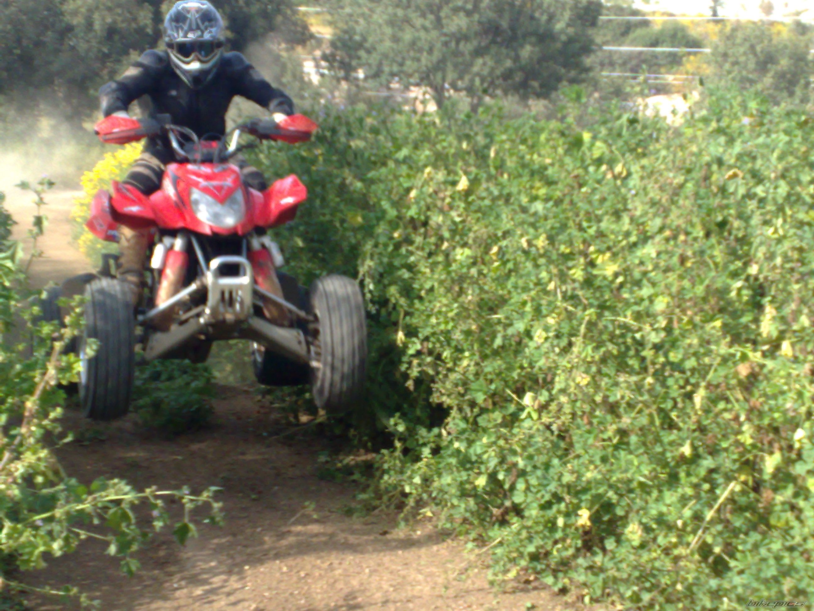 Bike Photo 1637458