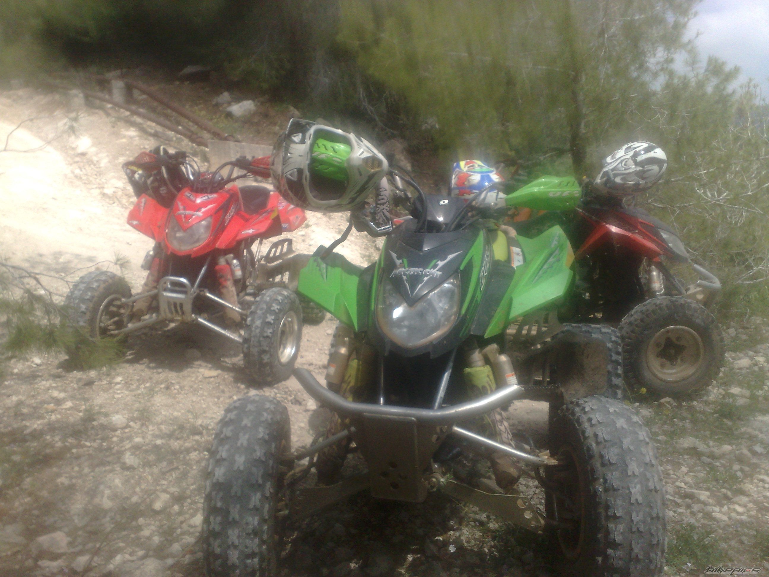 Photo 1637465