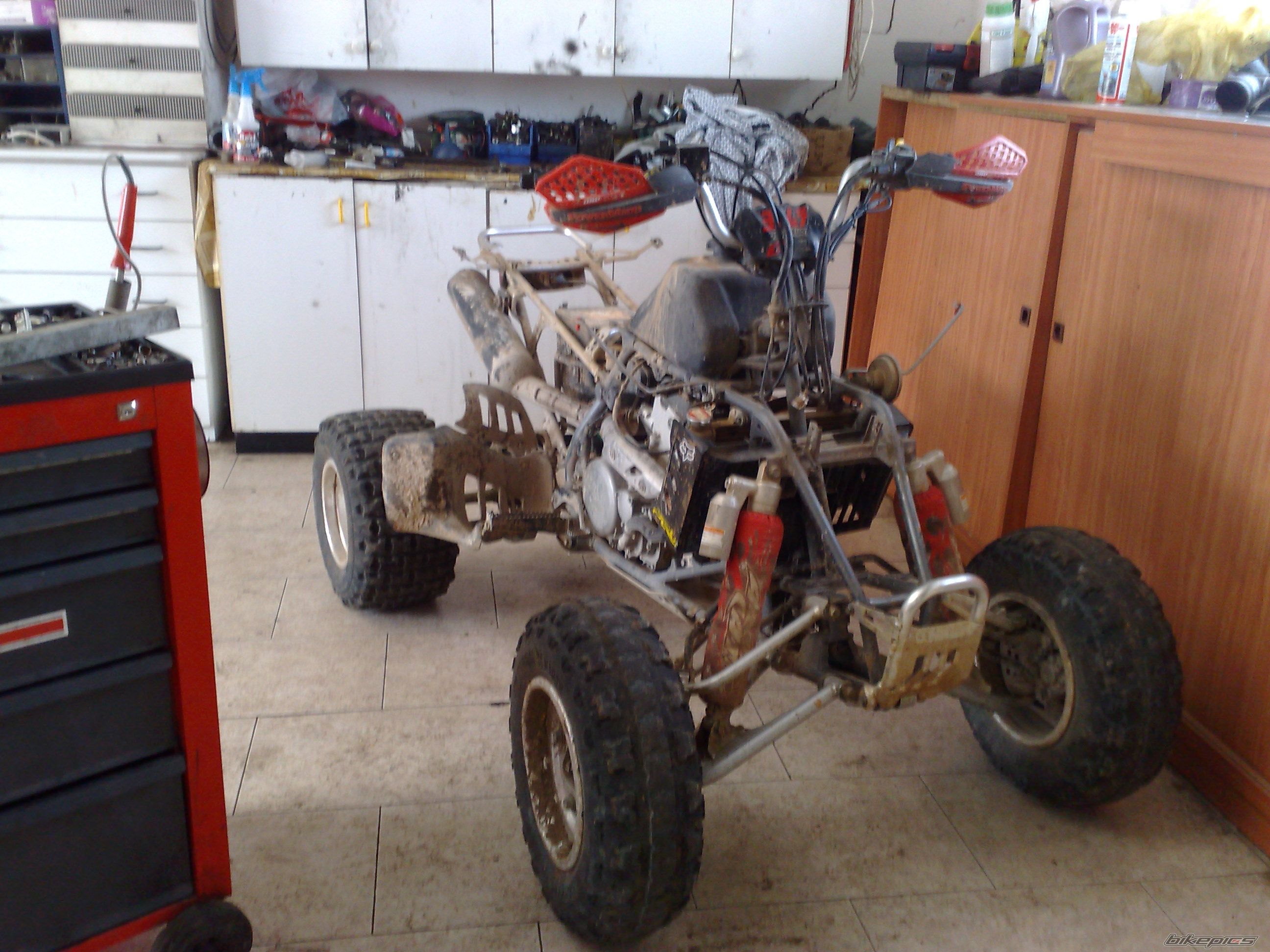 Photo 1637466