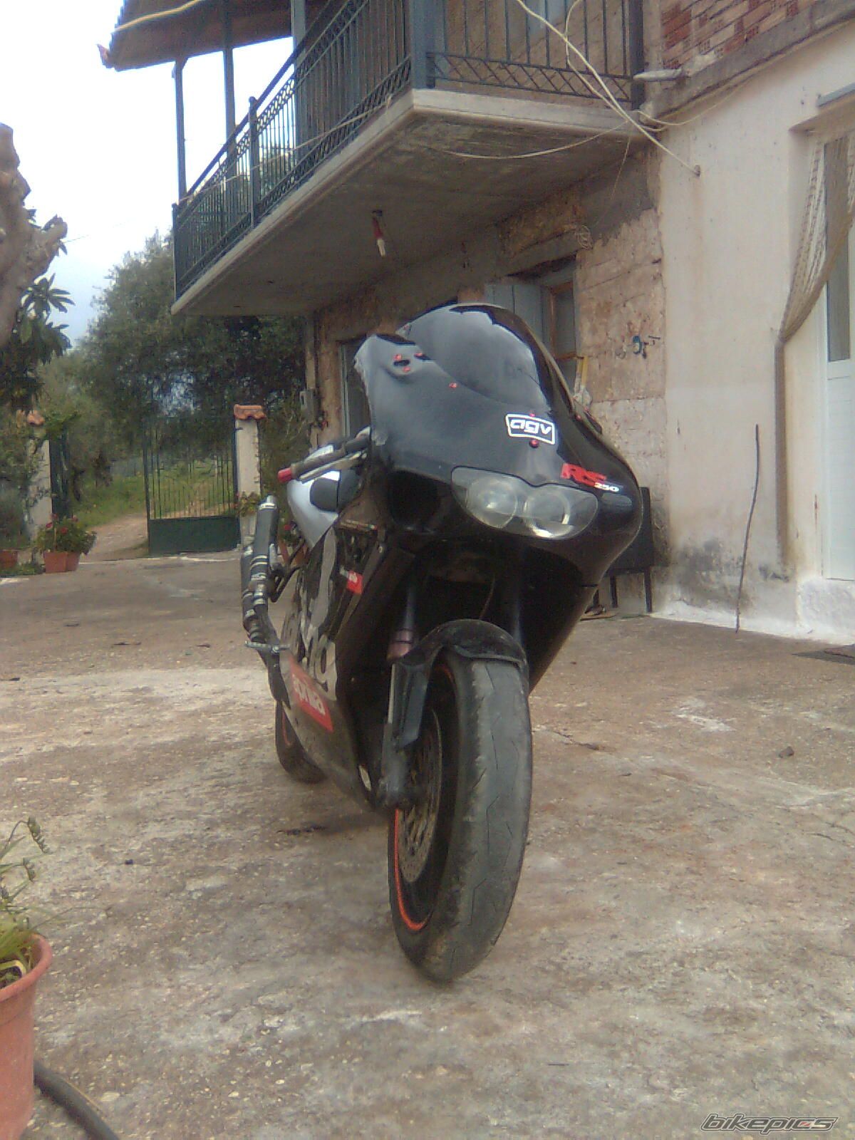 Photo 1637482