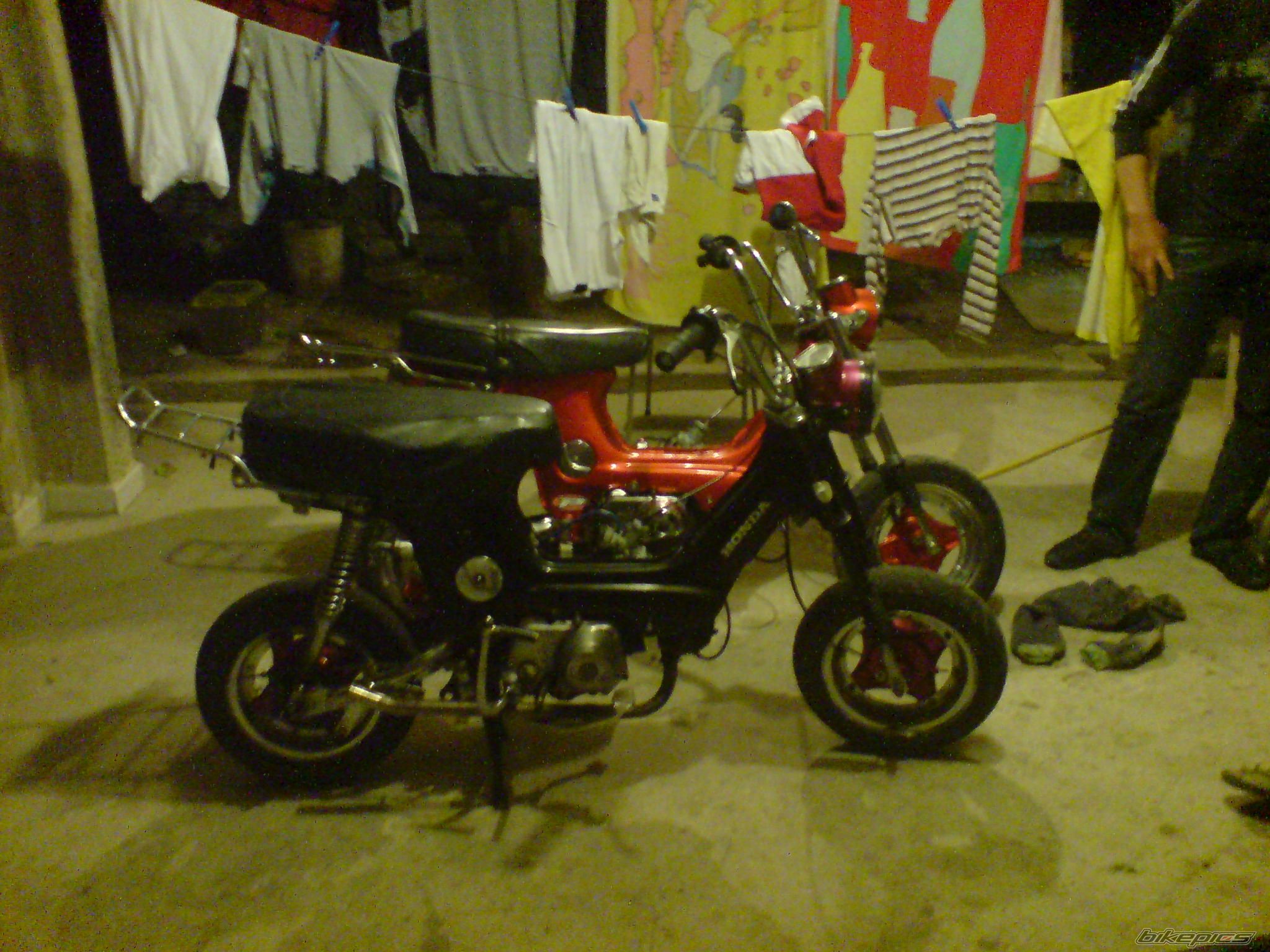 Photo 1637489