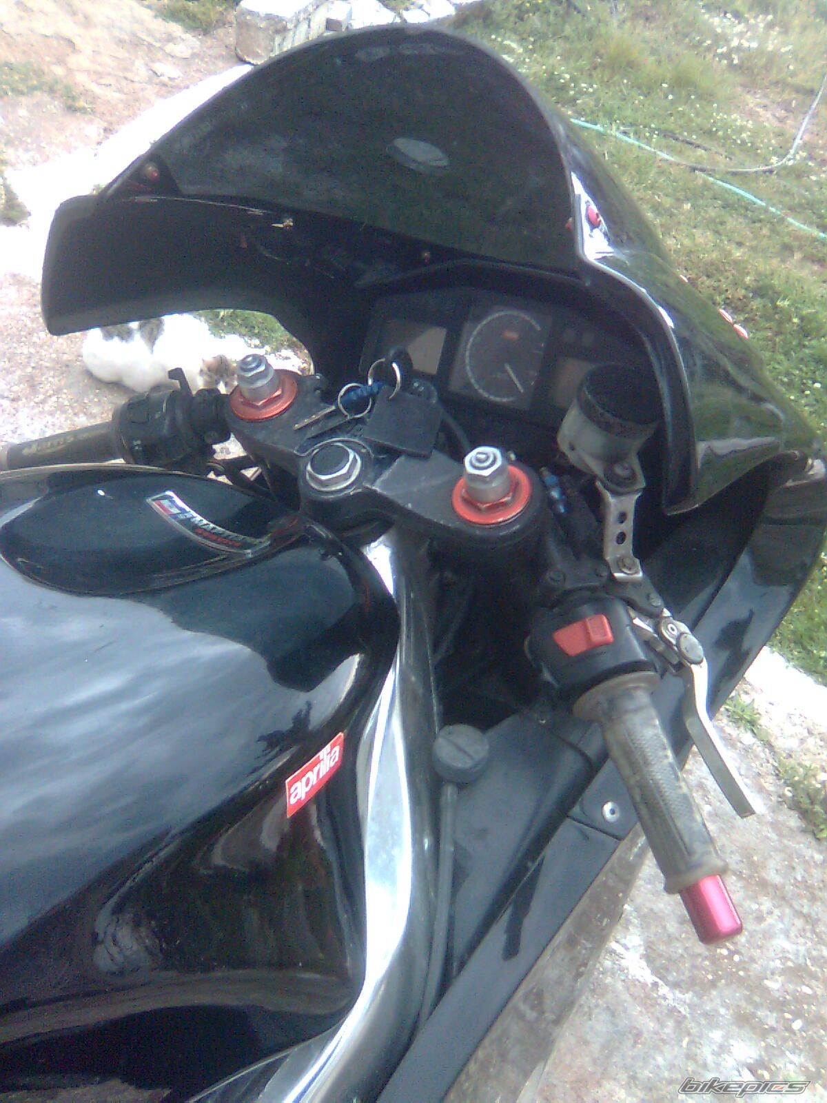 Bike Photo 1637492