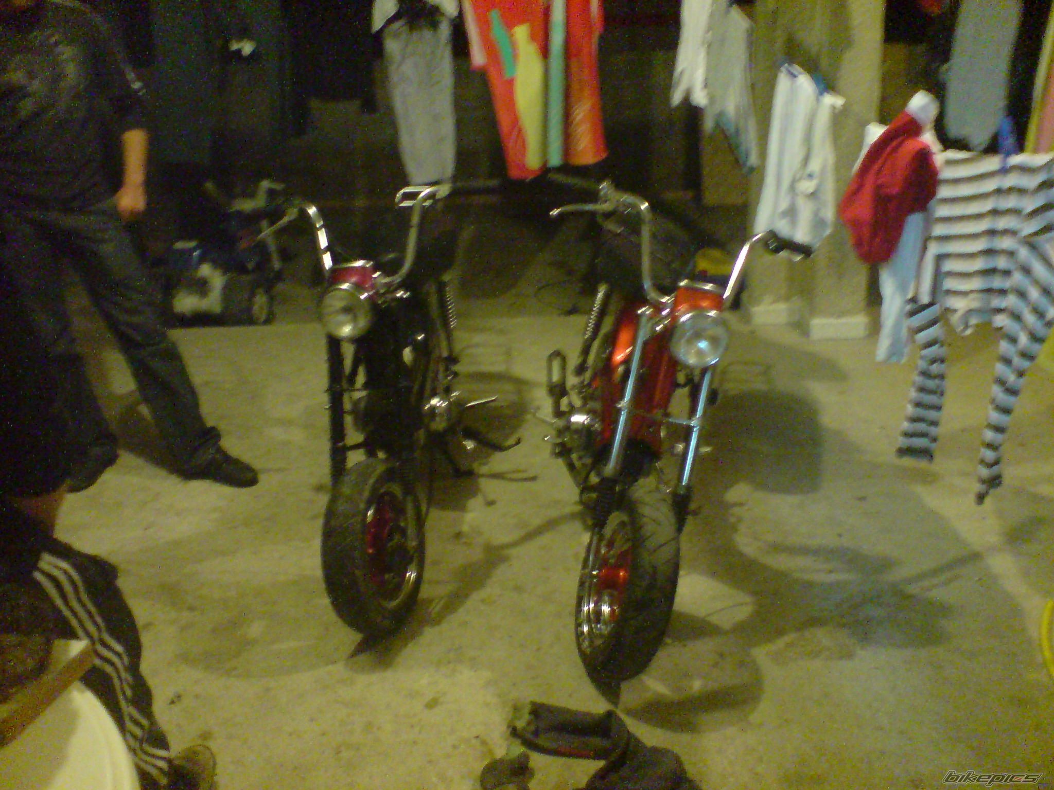 Photo 1637494