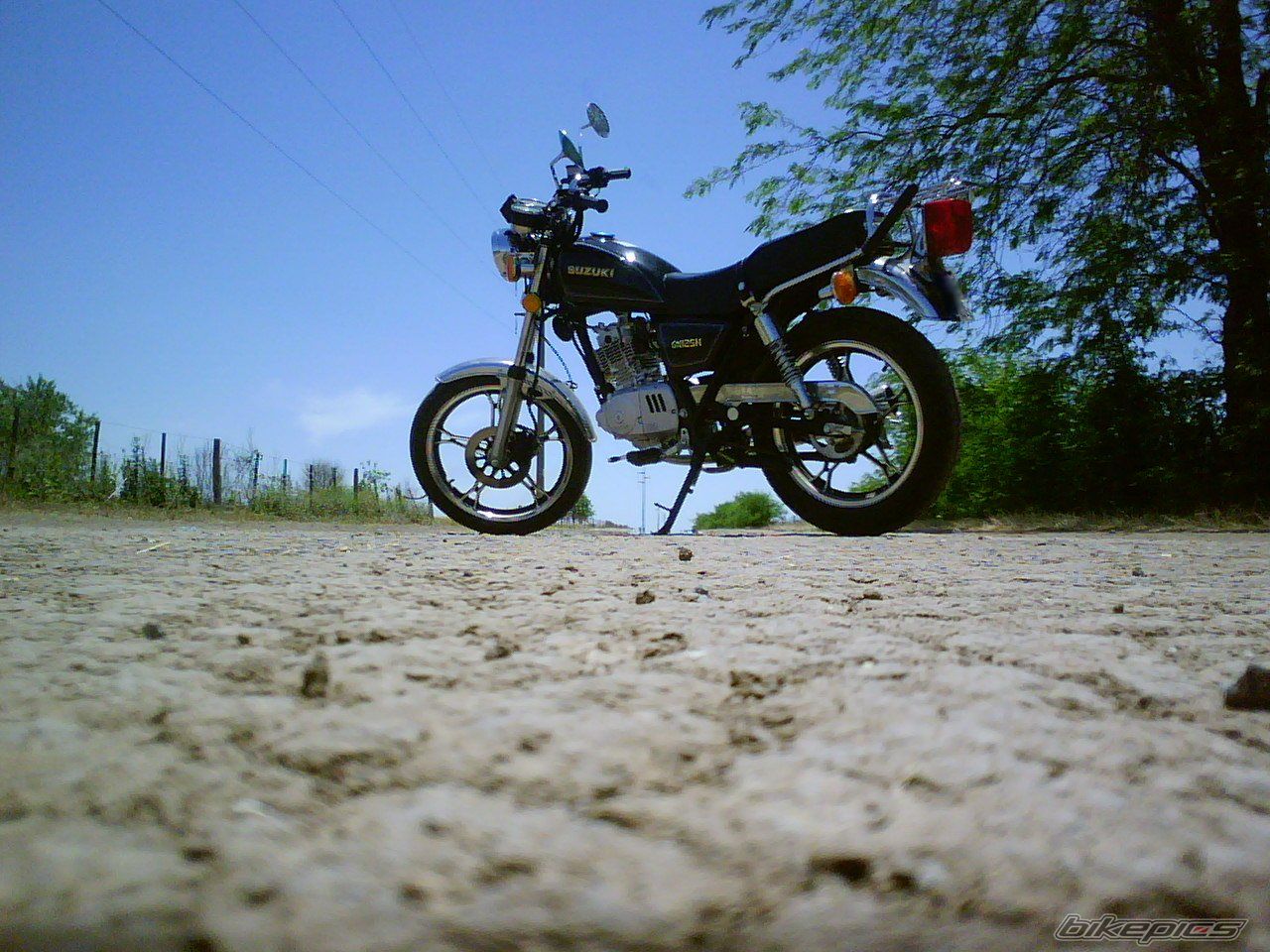 Photo 1637505
