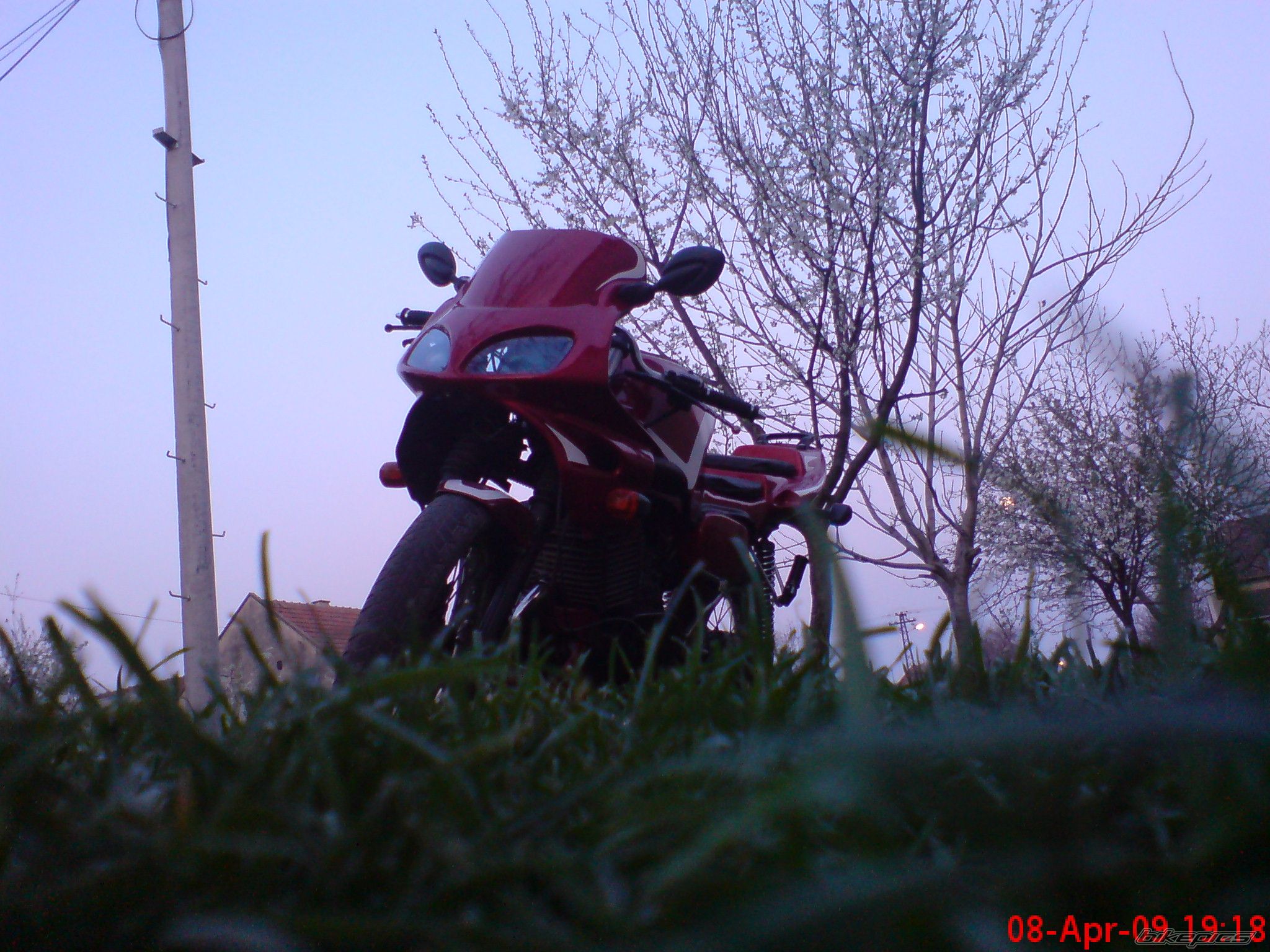 Photo 1637519