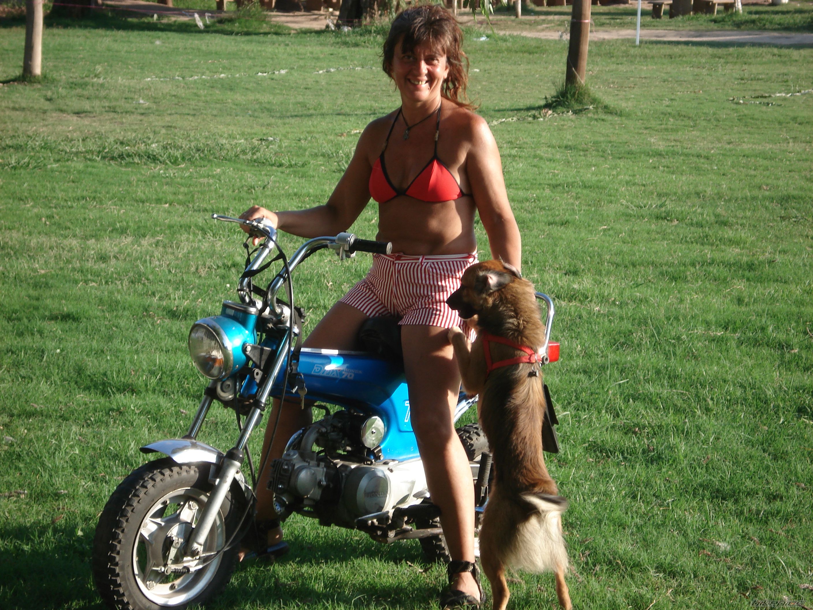 Bike Photo 1637801
