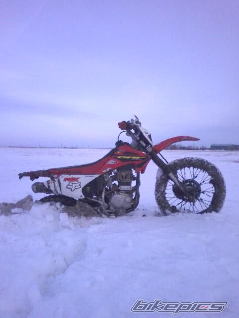 Bike Photo 1637815