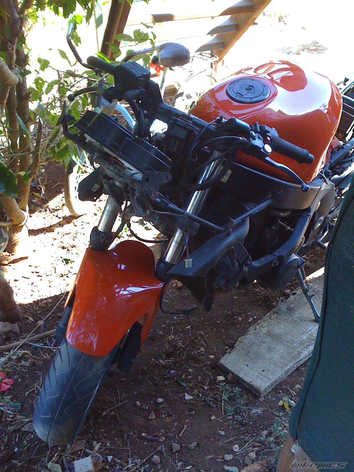 Photo 1637824